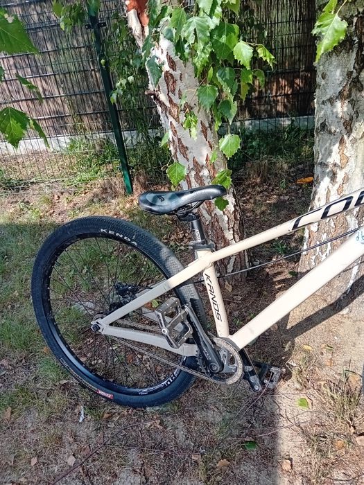 Dirt Colt Kands beżowy