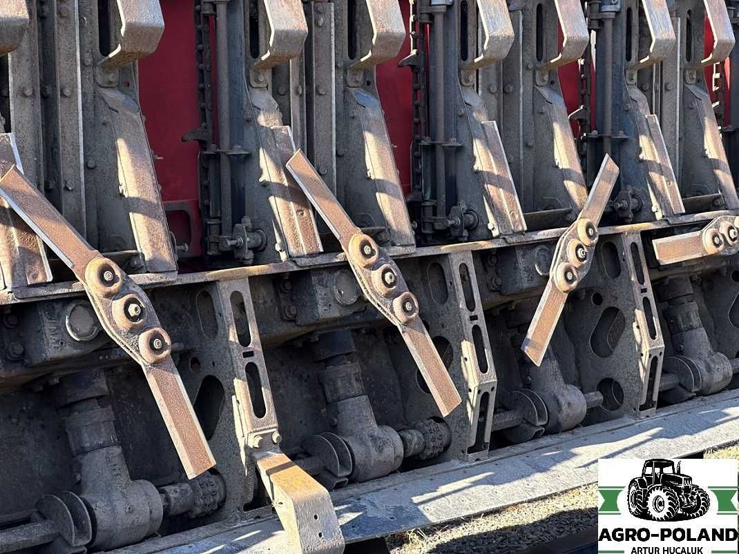 Кукурузная жатка OLIMAC DRAGO 2 - S 8 TR - 8X70 - 2017