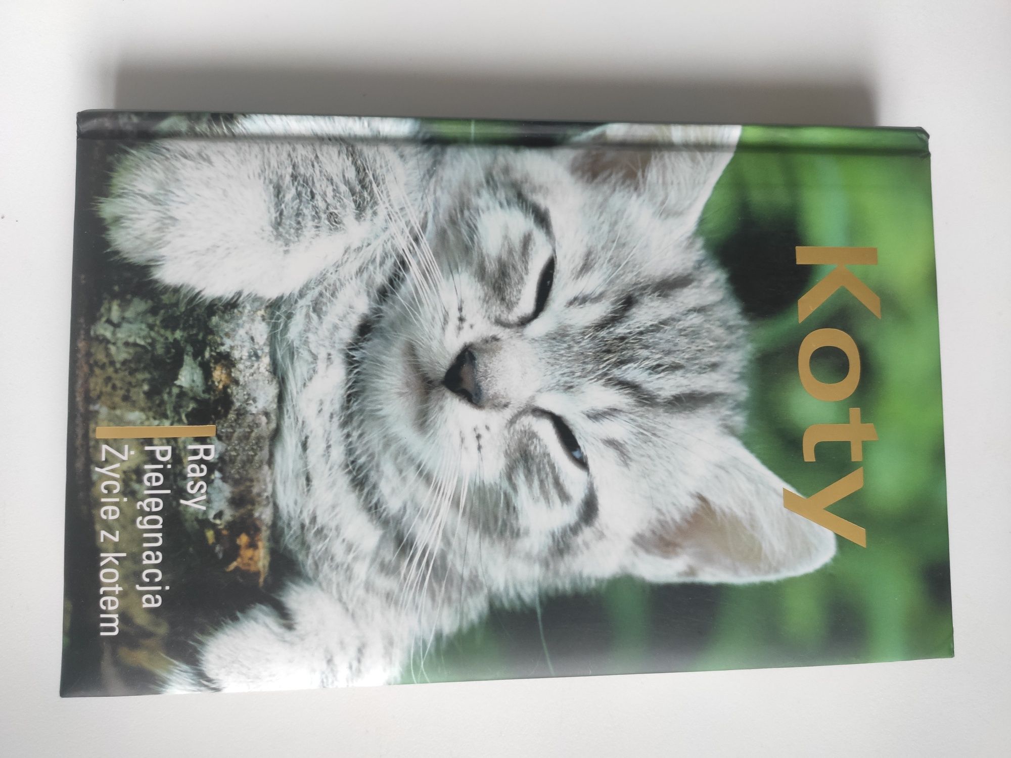 Książka "Koty Rasy Pielęgnacja Życie z kotem"