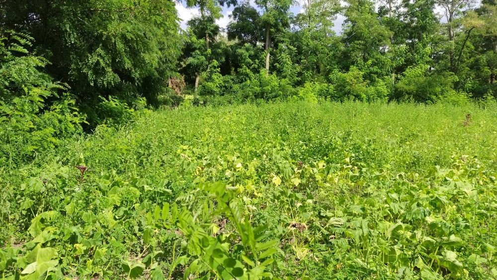 Продам будинок Солгутове