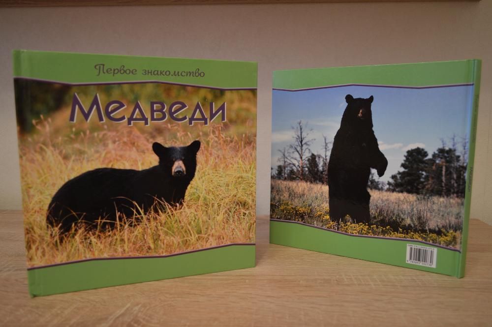 Детская книга "Медведи. Первое знакомство"