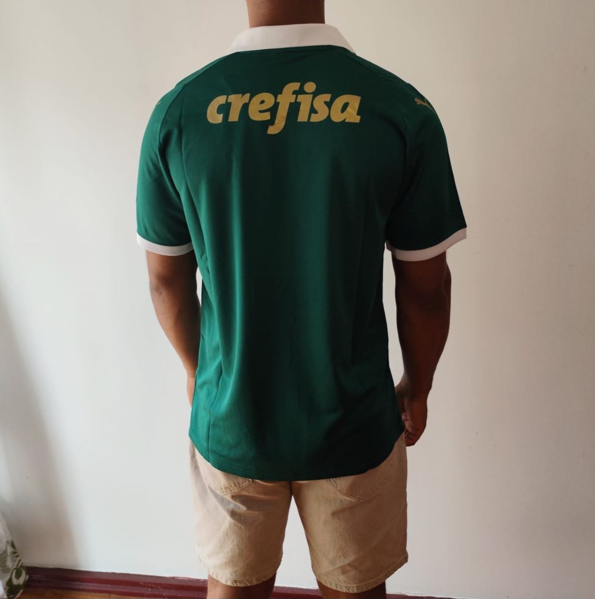 Camisola do Palmeiras