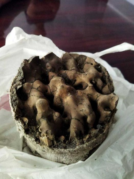 Скупка! Викуп! катализаторів. Куплю катализатор! Продати каталізатор!