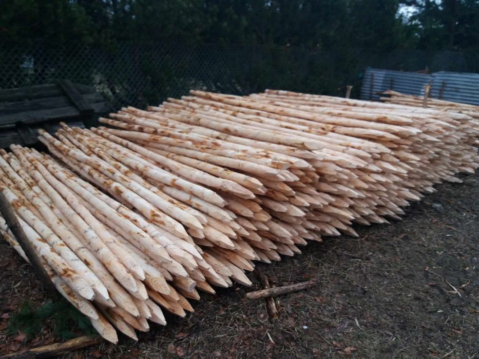 Sprzedam Kołki Paliki Pod Drzewka Owocowe