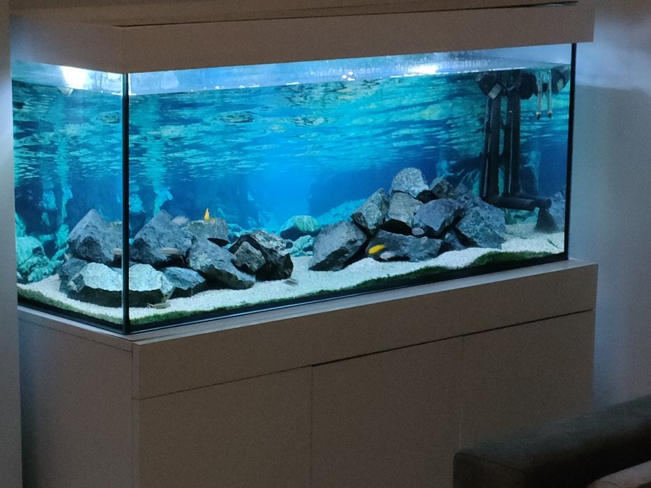 Akwarium 240l 120cm x 50cm x 40cm