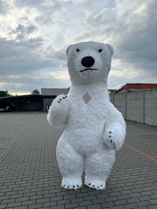 Biały Miś rozkręci każdą imprezę