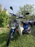 honda super cub 50