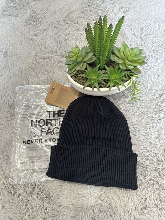 Czapka the north face