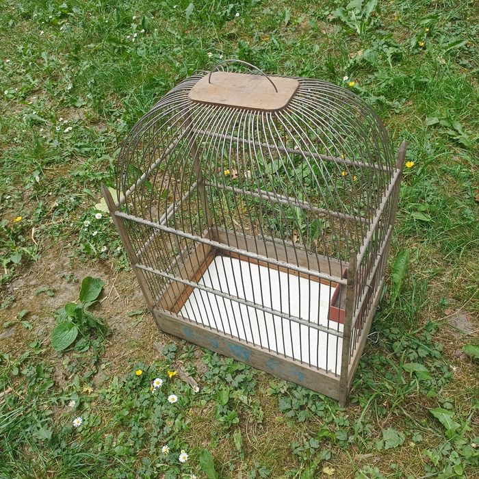 Клітка для кімнатних птахів