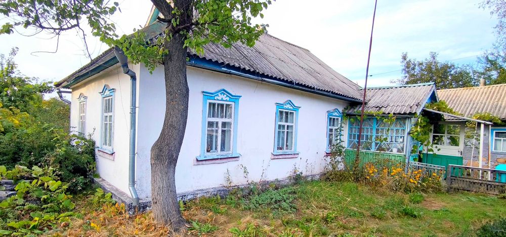 Комфортний дім для родини з окремою оселею на подвір’ї