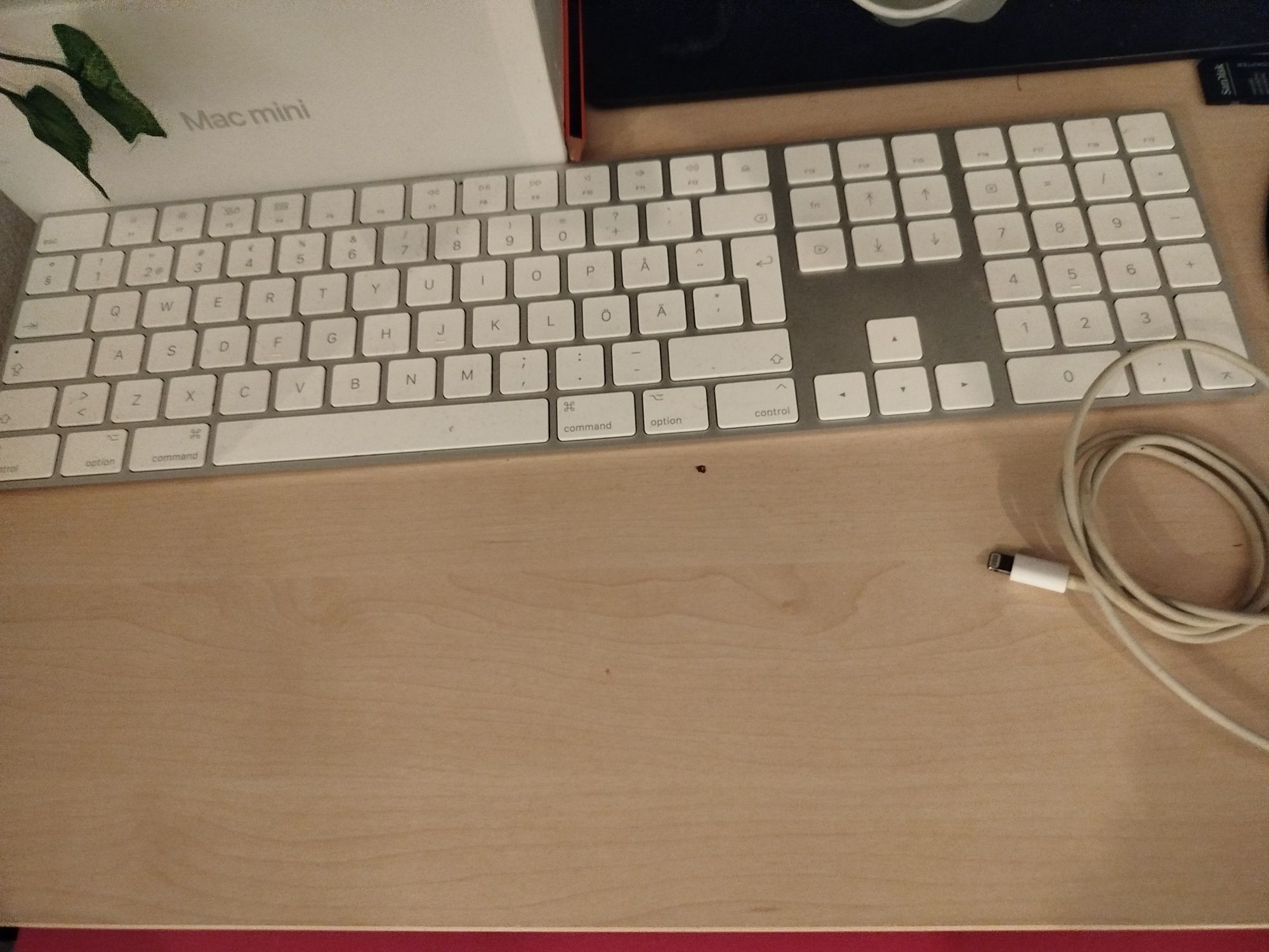 Mac mini m1 + teclado + rato + monitor