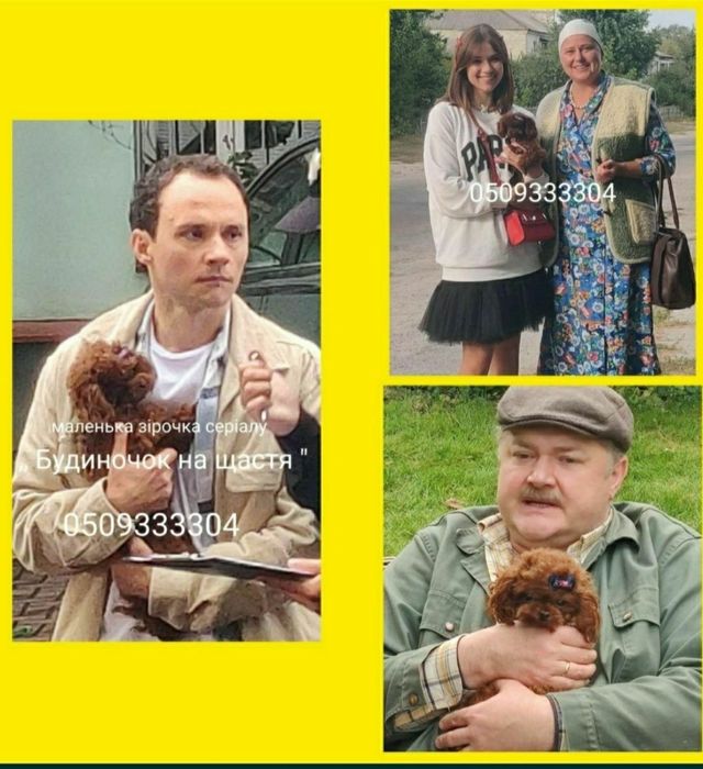 ‼️ТИКАП ‼️ импорт Китай ‼️