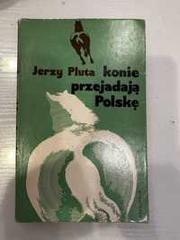 Konie przejadają Polskę. Jerzy Pluta