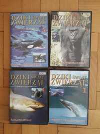 filmy DVD - BBC Dziki świat zwierząt