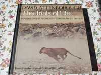 David Attenborough The Trials of Life po angielsku