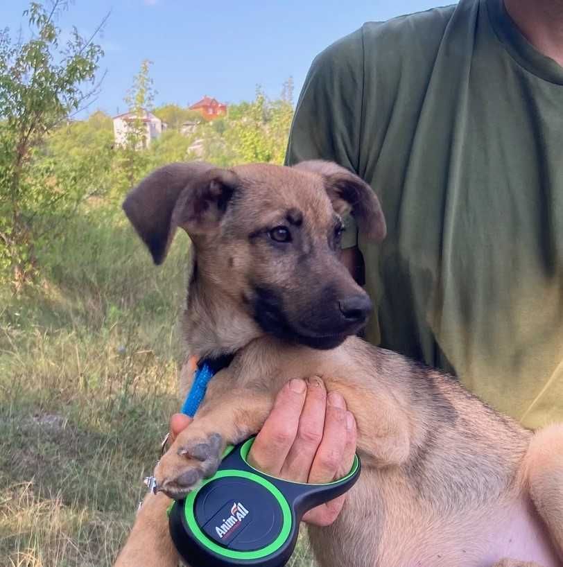 Красивий хлопчик, 5 міс