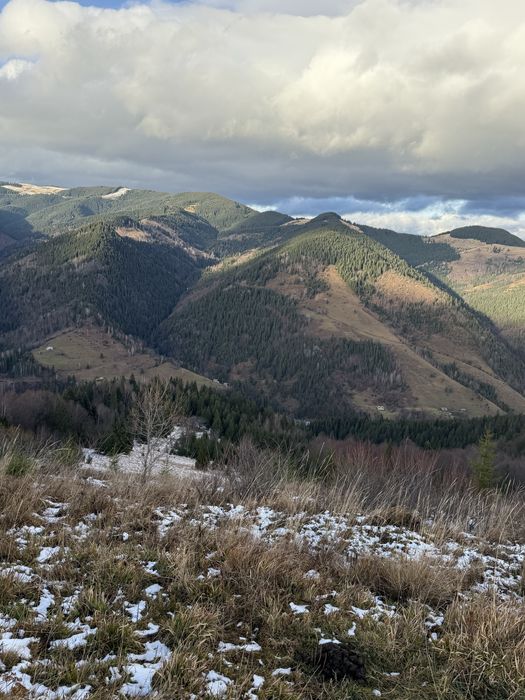 ТОП Дземброня 88сот