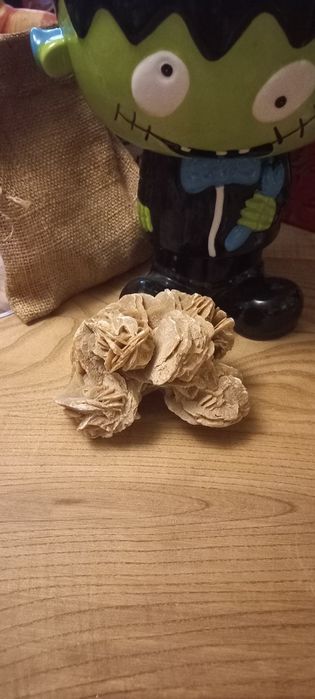 Kamien RÓŻA  PISTYNI  plus gratis