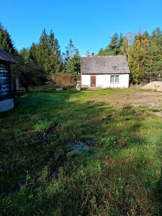 Sprzedam siedlisko z domem, lasem i łąka razem o powierzchni 2,4405ha