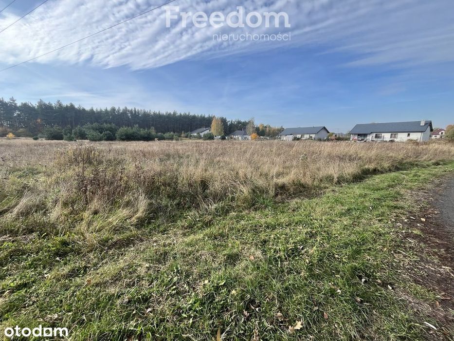 Piękna działka z dogodnym dojazdem do Torunia