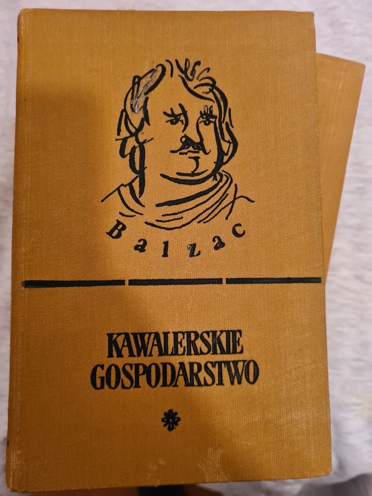 Kawalerskie gospodarstwo, Honoriusz Balzac, przelożył T. Boy-Żeleński