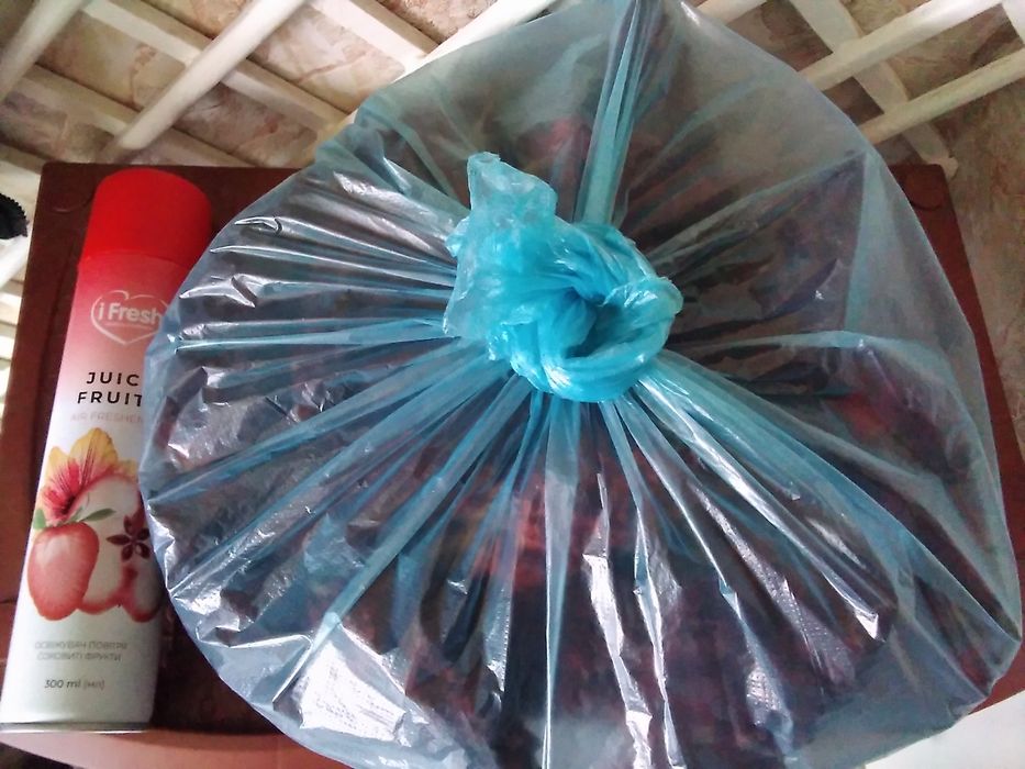 сумах оленерогий или уксусное дерево саженцы и плоды