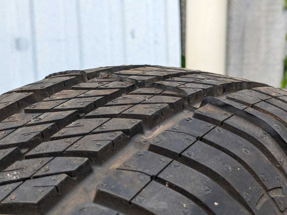 шина покрышка 1шт лето DEBICA 195/65 R15