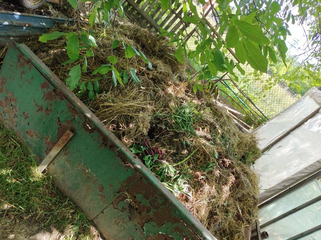 Oddam gnuj spod królików