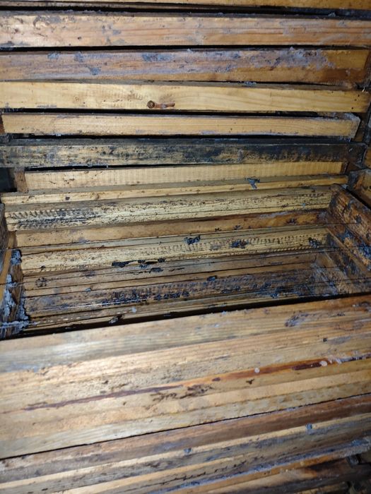 Продам рамки для вулика розмір 230 Рут