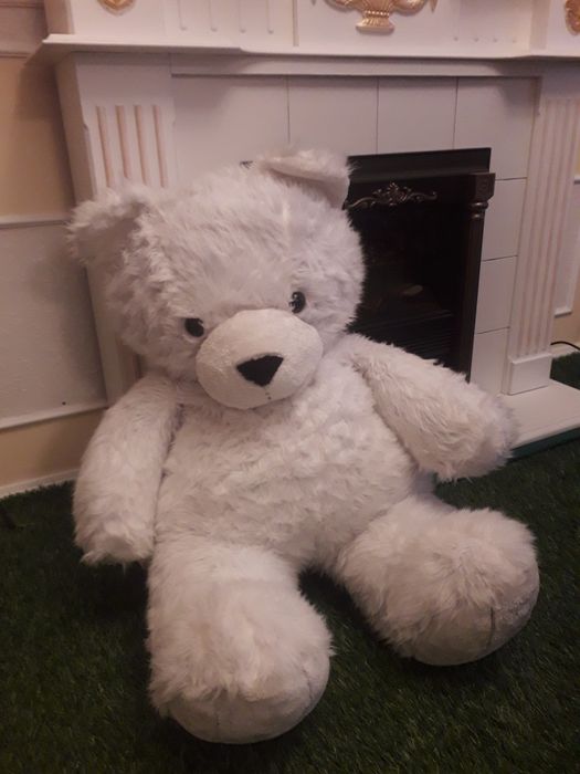 Большой медведь, медвежонок