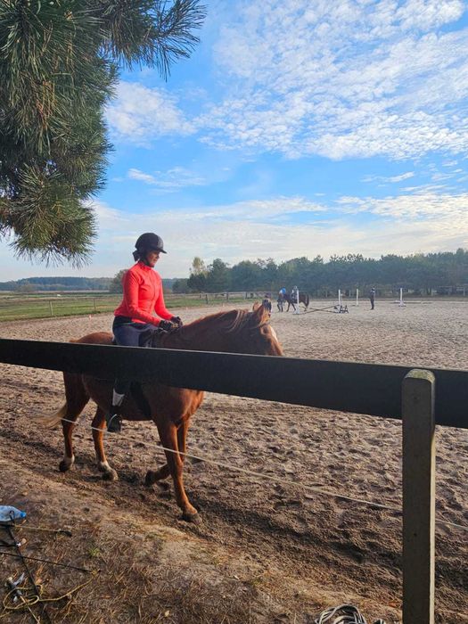 Matematyka korepetycje szkoła podstawowa, średnia, studenci.