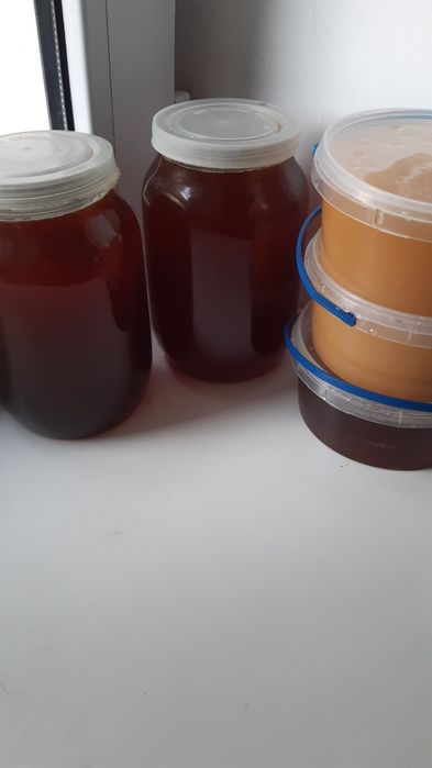 Мед своєї пасіки