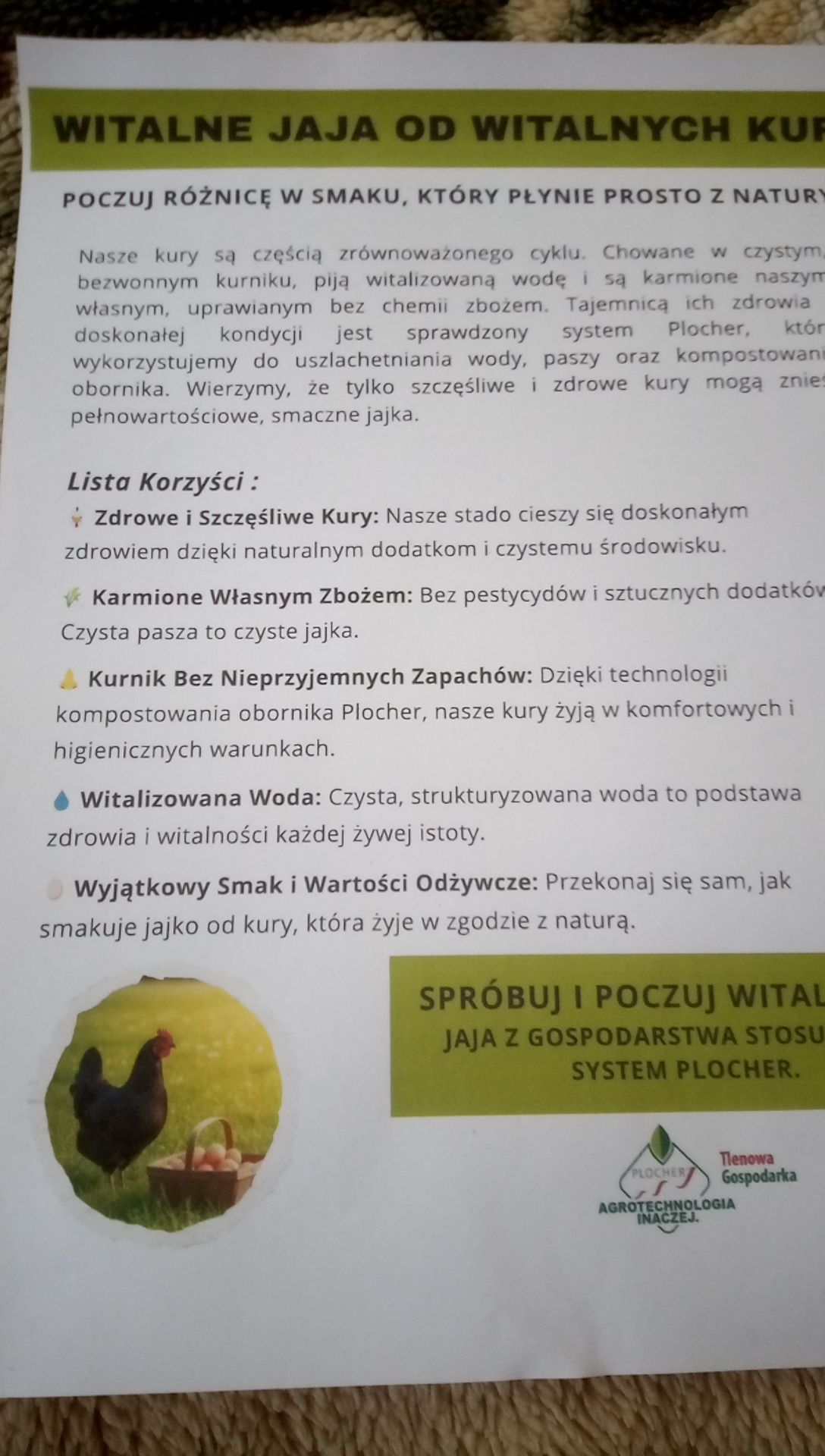 Jajka od witalnych kur.