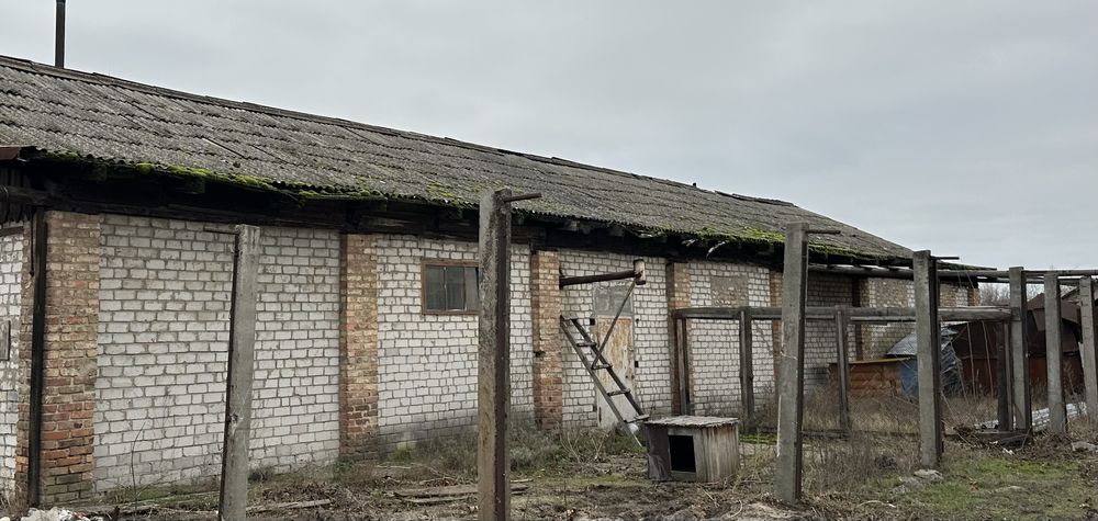 Шифер бесплатно под разбор безкоштовно під розбір
