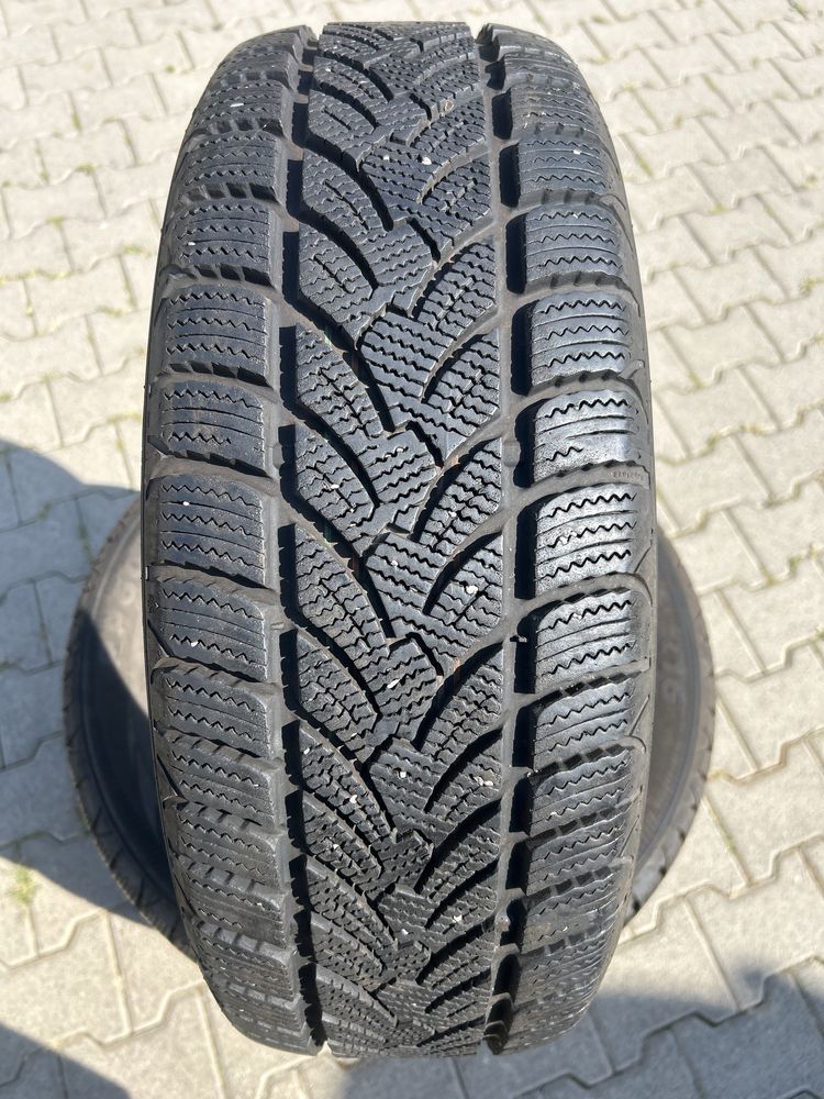 Platin 205/55R16 91H RP60 Winter