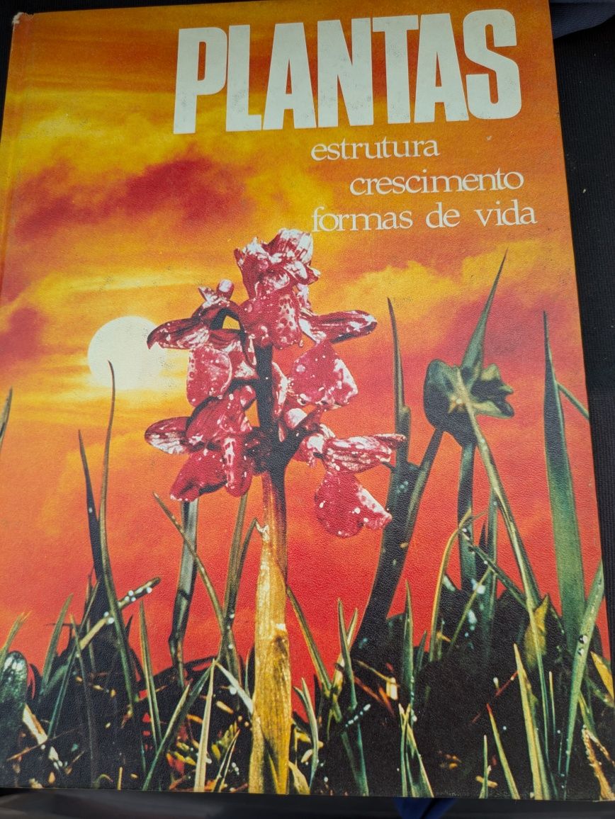 Plantas Estrutura Crescimento Formas de Vida