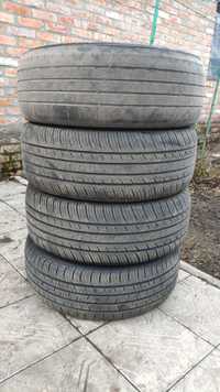 Kumho Solus TA31 (17 год), Dextero Turing DTR1 (18 год)