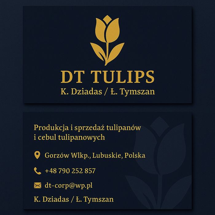 Cebulki tulipanowe Jaap Grot 10szt. DT Tulips