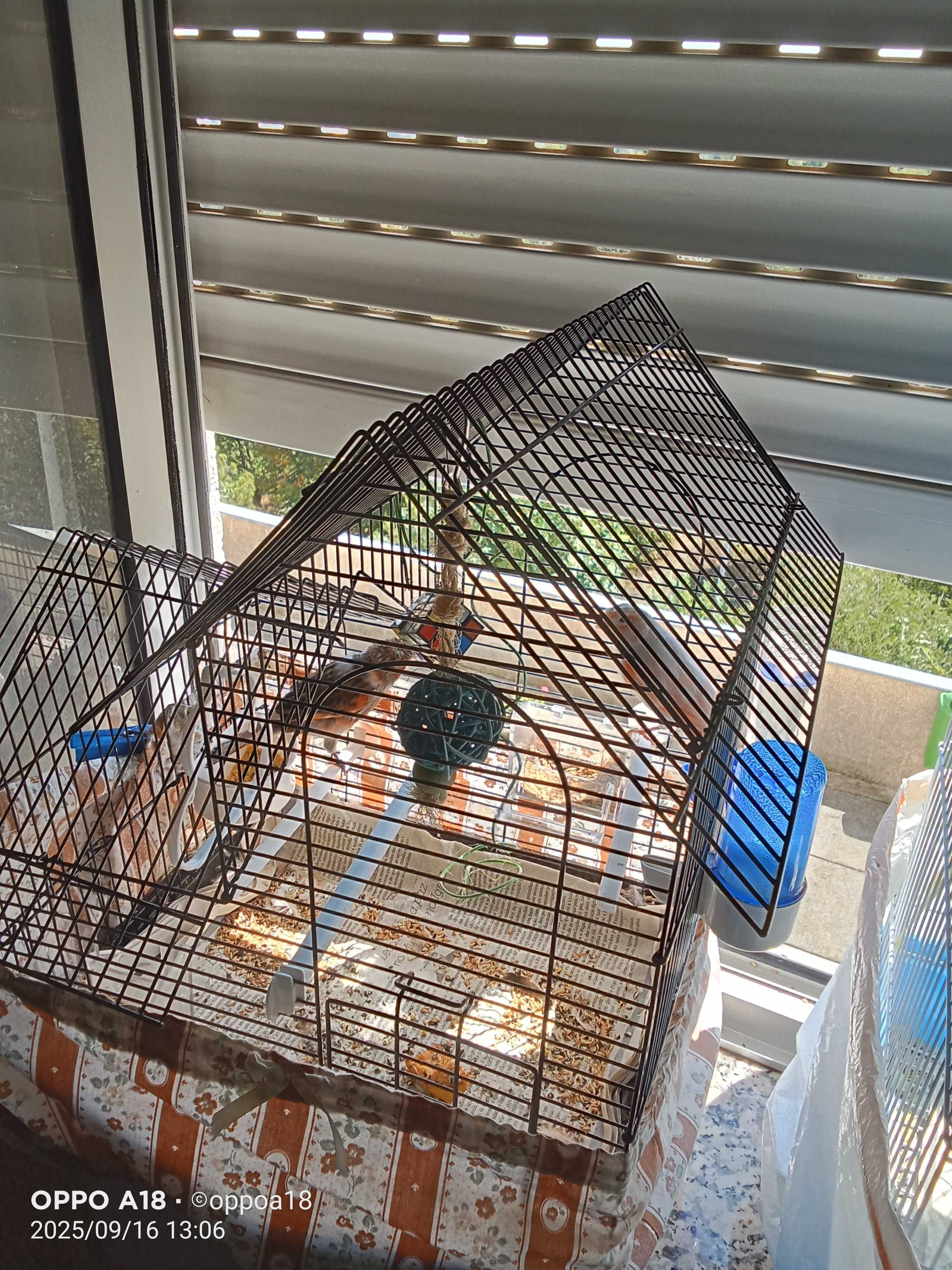 Vendo pássaros com gaiolas