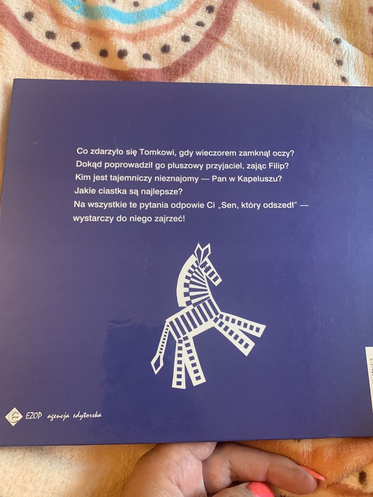 Sen który odszedł - Anna Onichimowska