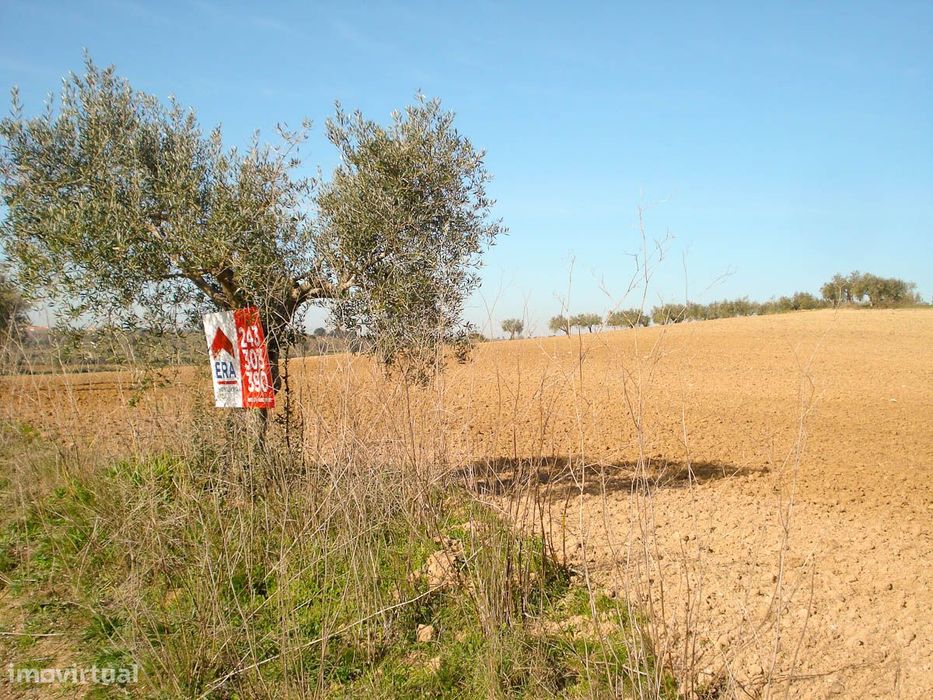 Terreno com 11920 m2