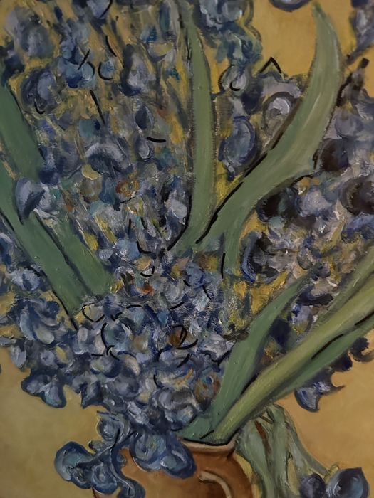 Reprodukcja Vincent van Gogh Irysy