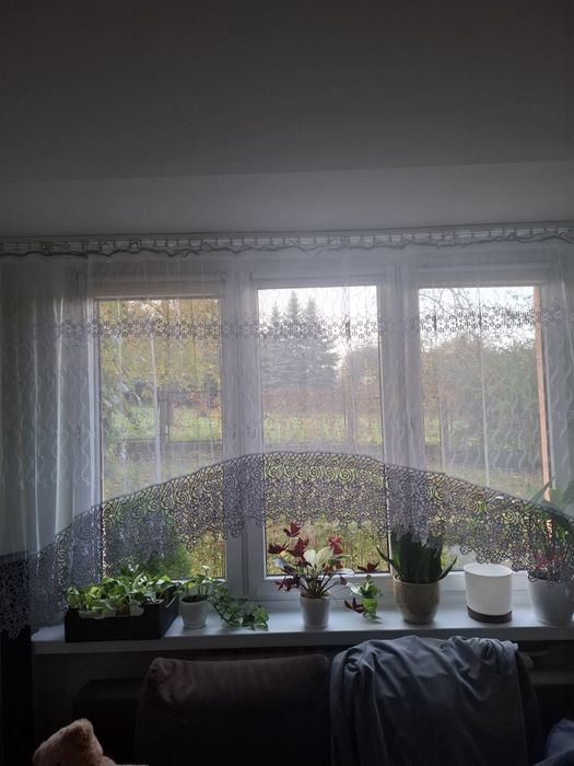 Firanka wysokosc150 cm