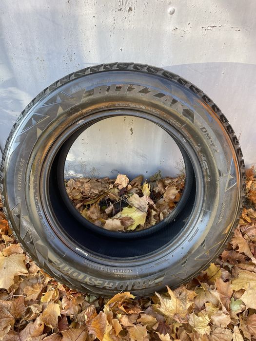 Зимова шина Bridgestone Blizzak DM-V2 265/60 R18