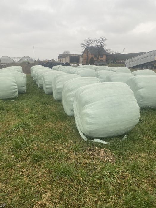 Sprzedam sianokiszonke z traw siewnych