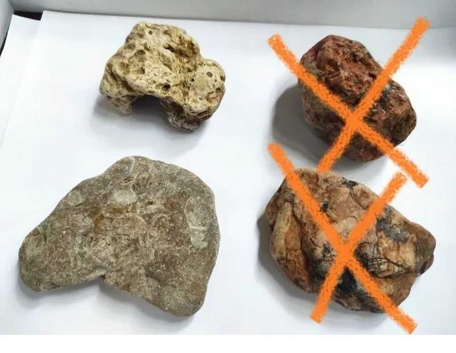 Корм для рыбок универсальный и камень для аквариума