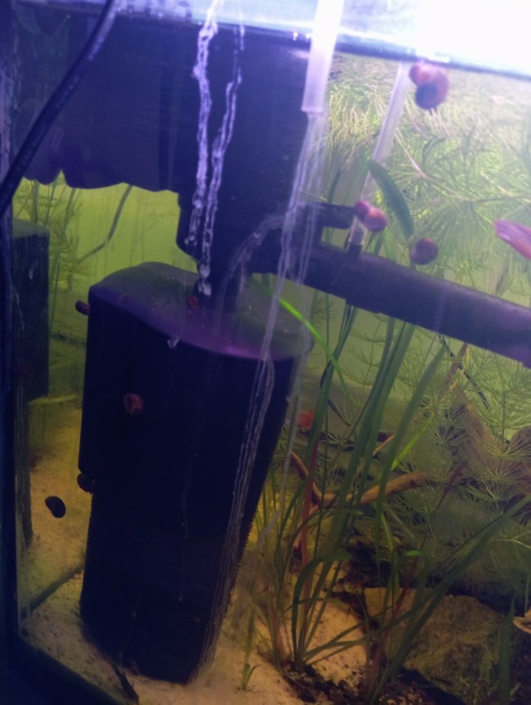Sprzedam akwarium 112l