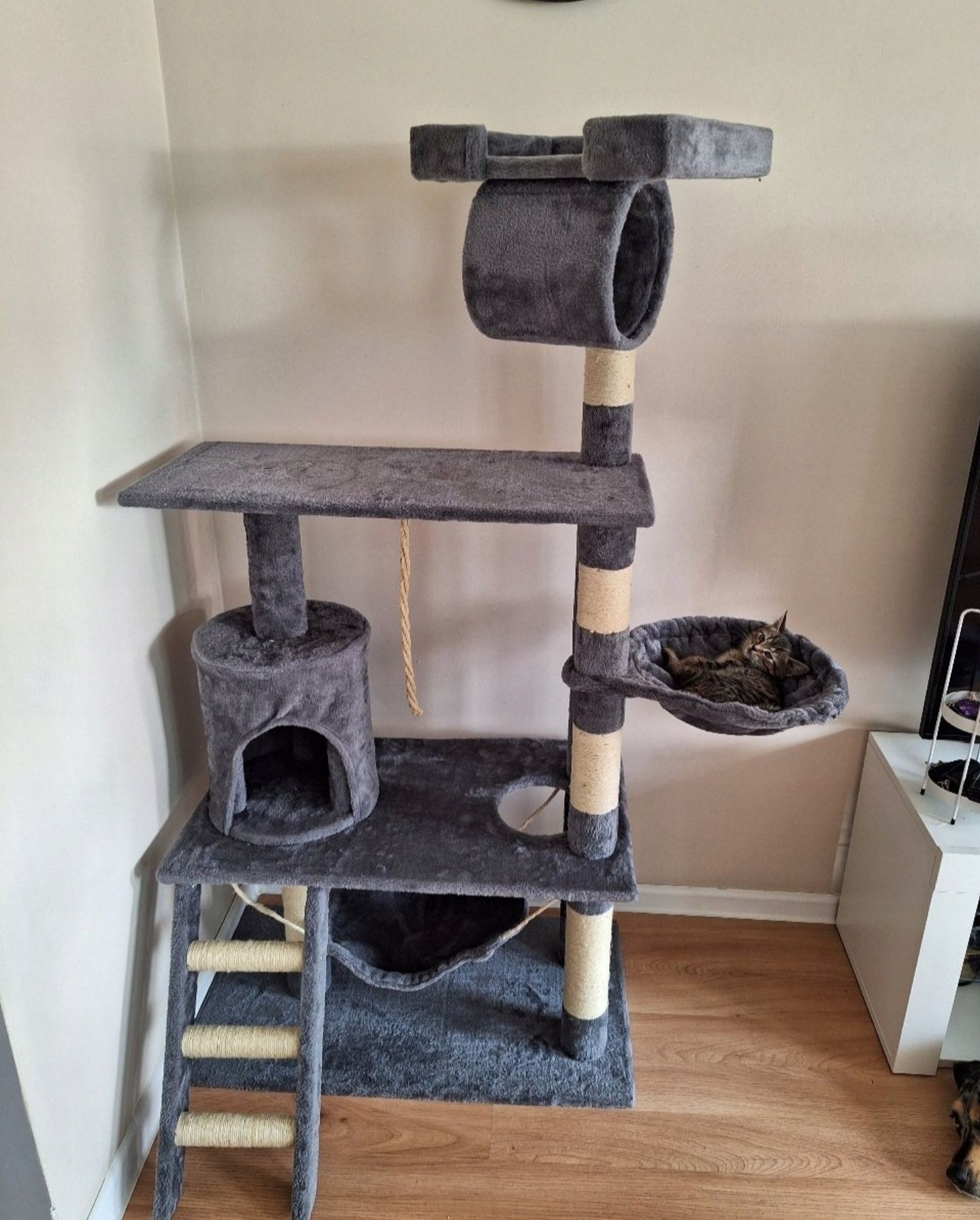 Nowy Drapak dla kota DARMOWA Wysyłka Legowisko DUŻY domek dla kota