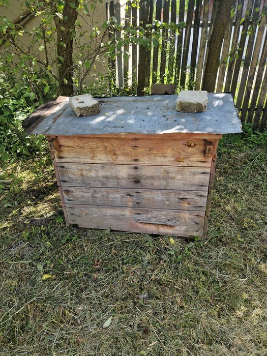 Ule warszawskie poszerzane solidne