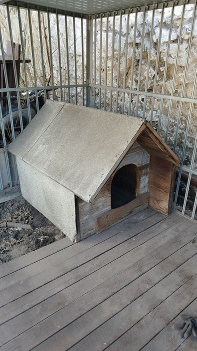 Buda dla dużego psa